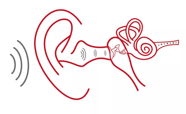Pronto-Udito-anatomia-orecchio